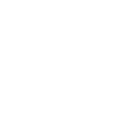 reverb